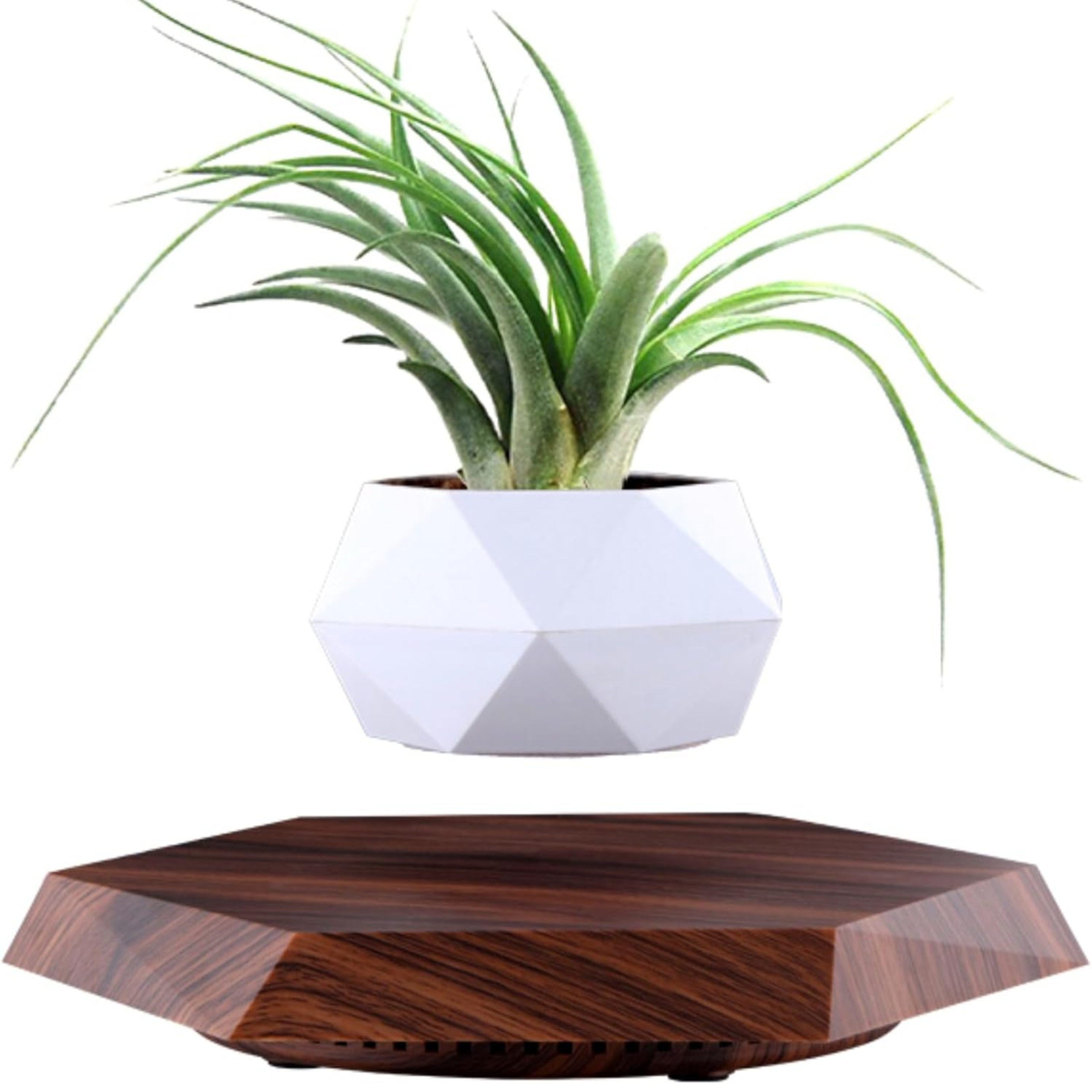 Levitating Flower Pot with Wood Base: Magnetic & 360° Rotating