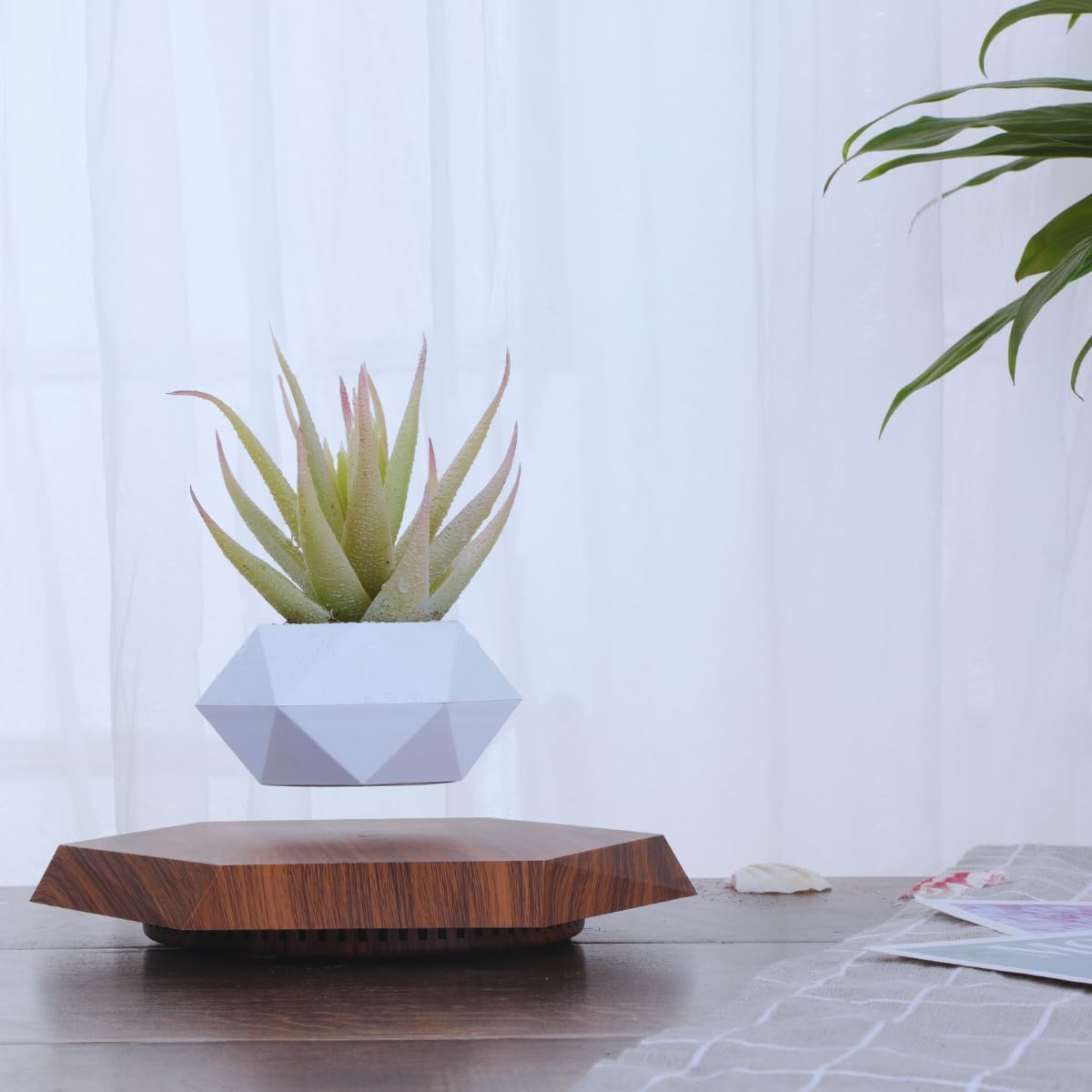 Levitating Flower Pot with Wood Base: Magnetic & 360° Rotating