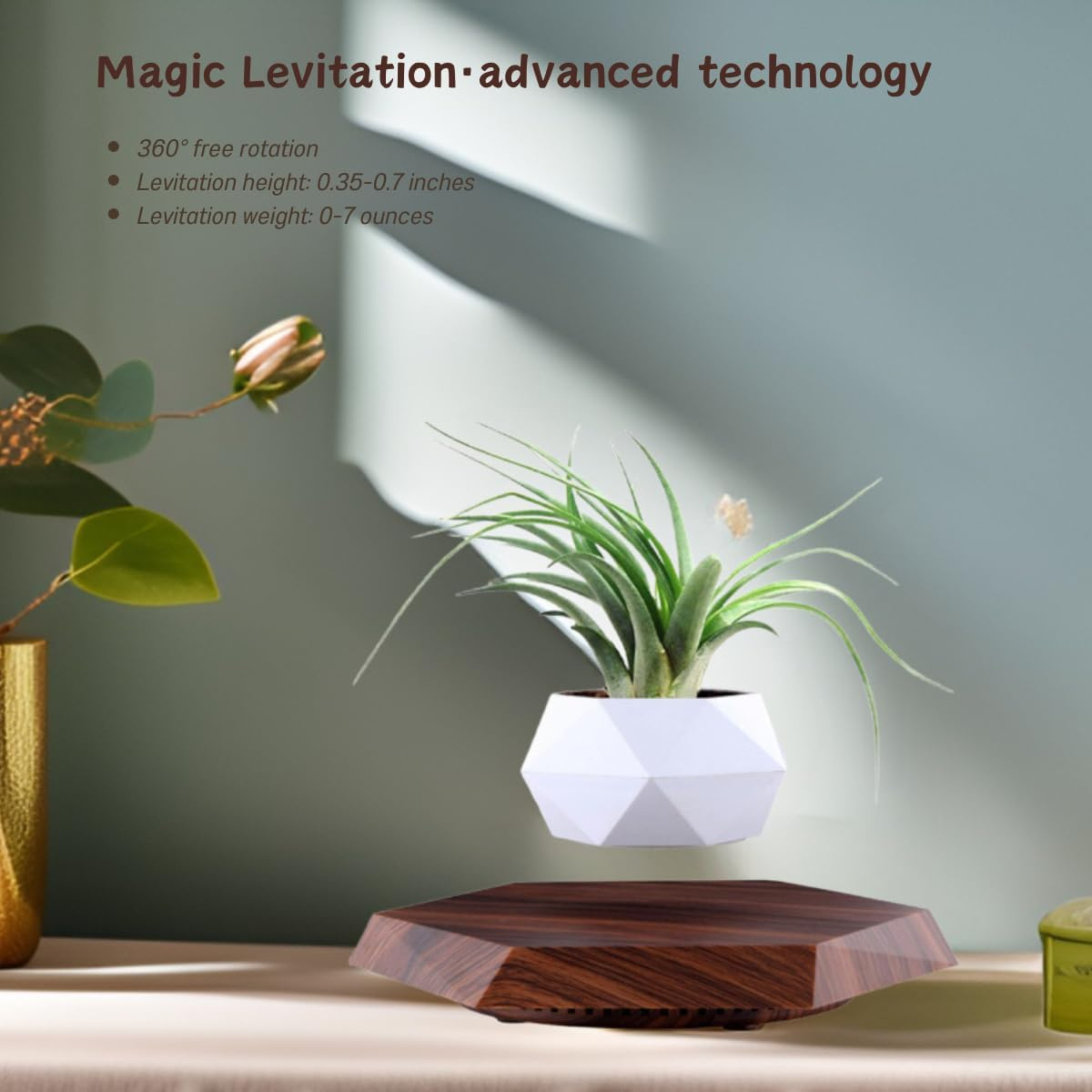 Levitating Flower Pot with Wood Base: Magnetic & 360° Rotating