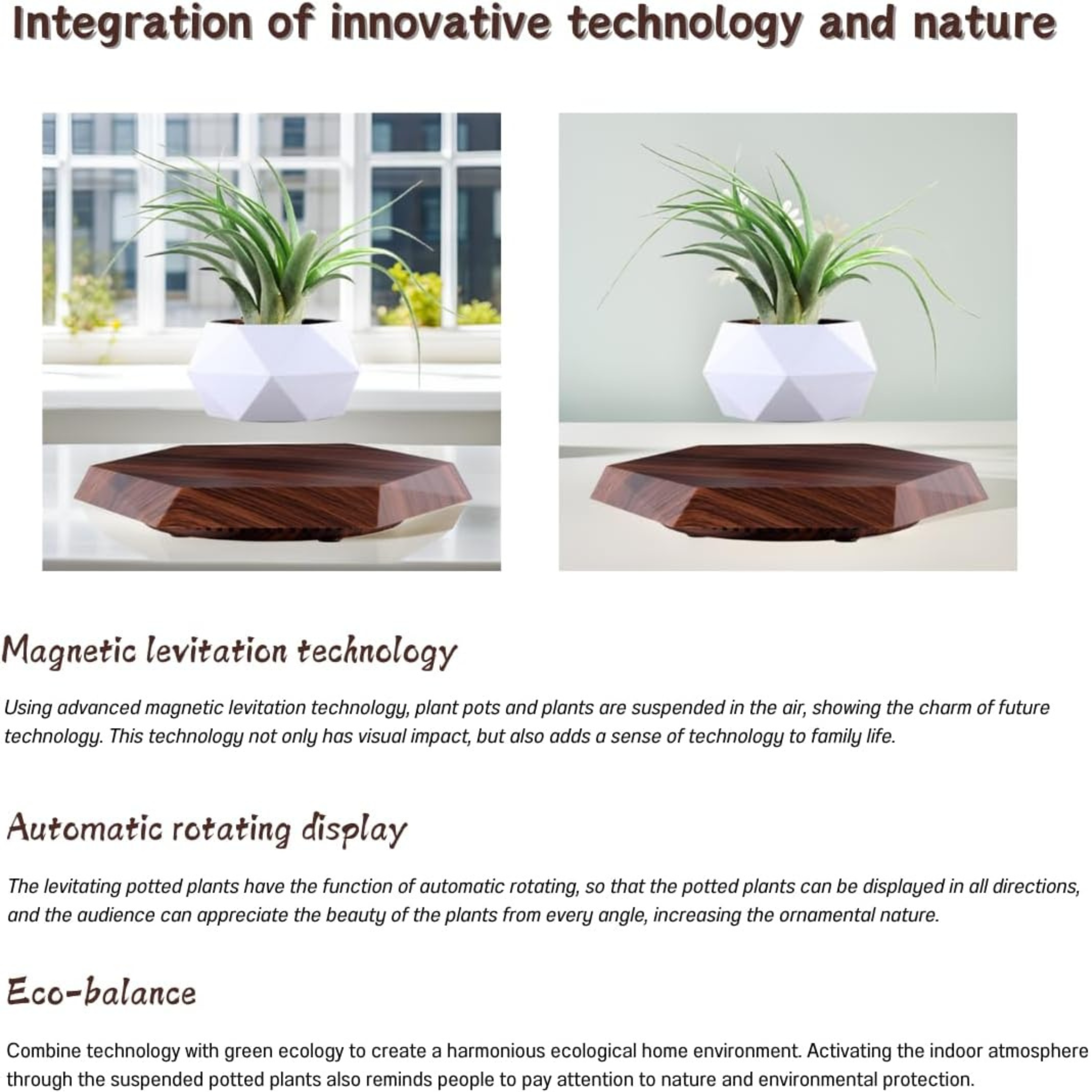 Levitating Flower Pot with Wood Base: Magnetic & 360° Rotating