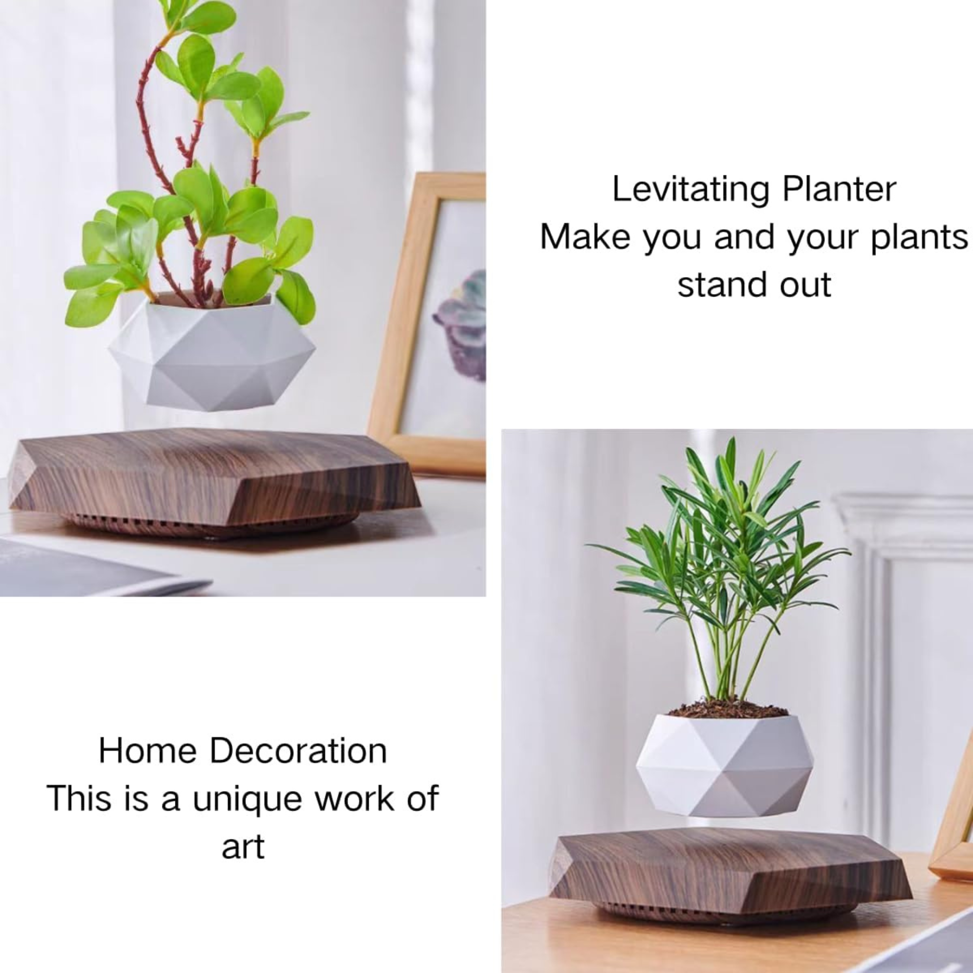 Levitating Flower Pot with Wood Base: Magnetic & 360° Rotating